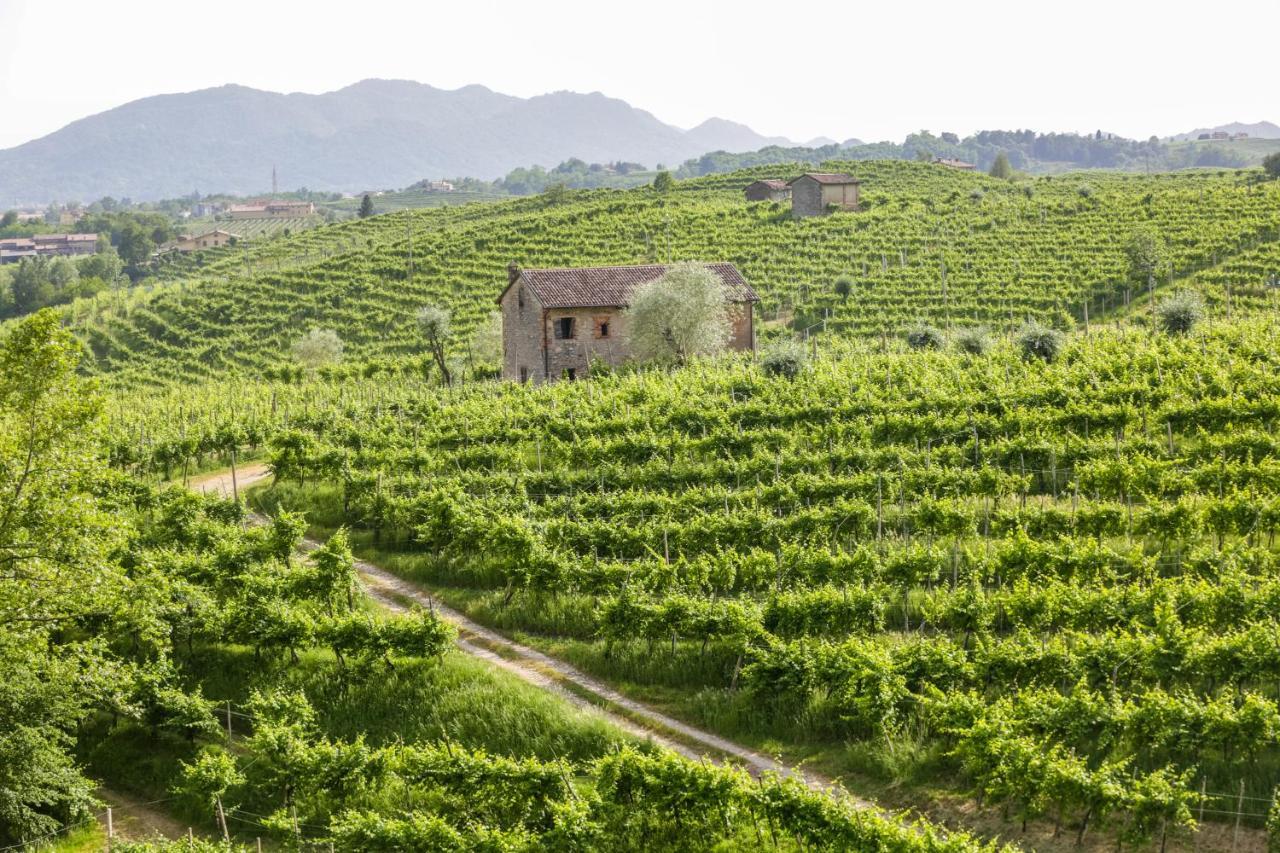 Agriturismo Il Follo วัลดอบเบียเดเน ภายนอก รูปภาพ